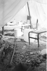 vivienda